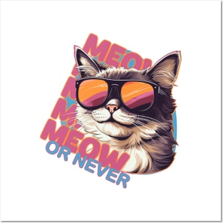 Meow Or Never Posters and Art